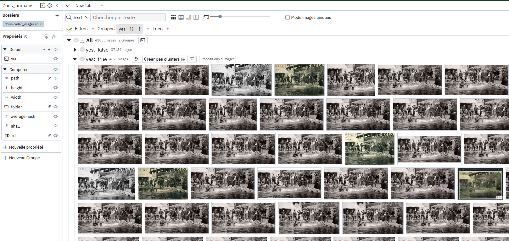 Clusters sous panoptic